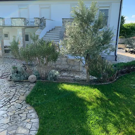 Palma Villa *